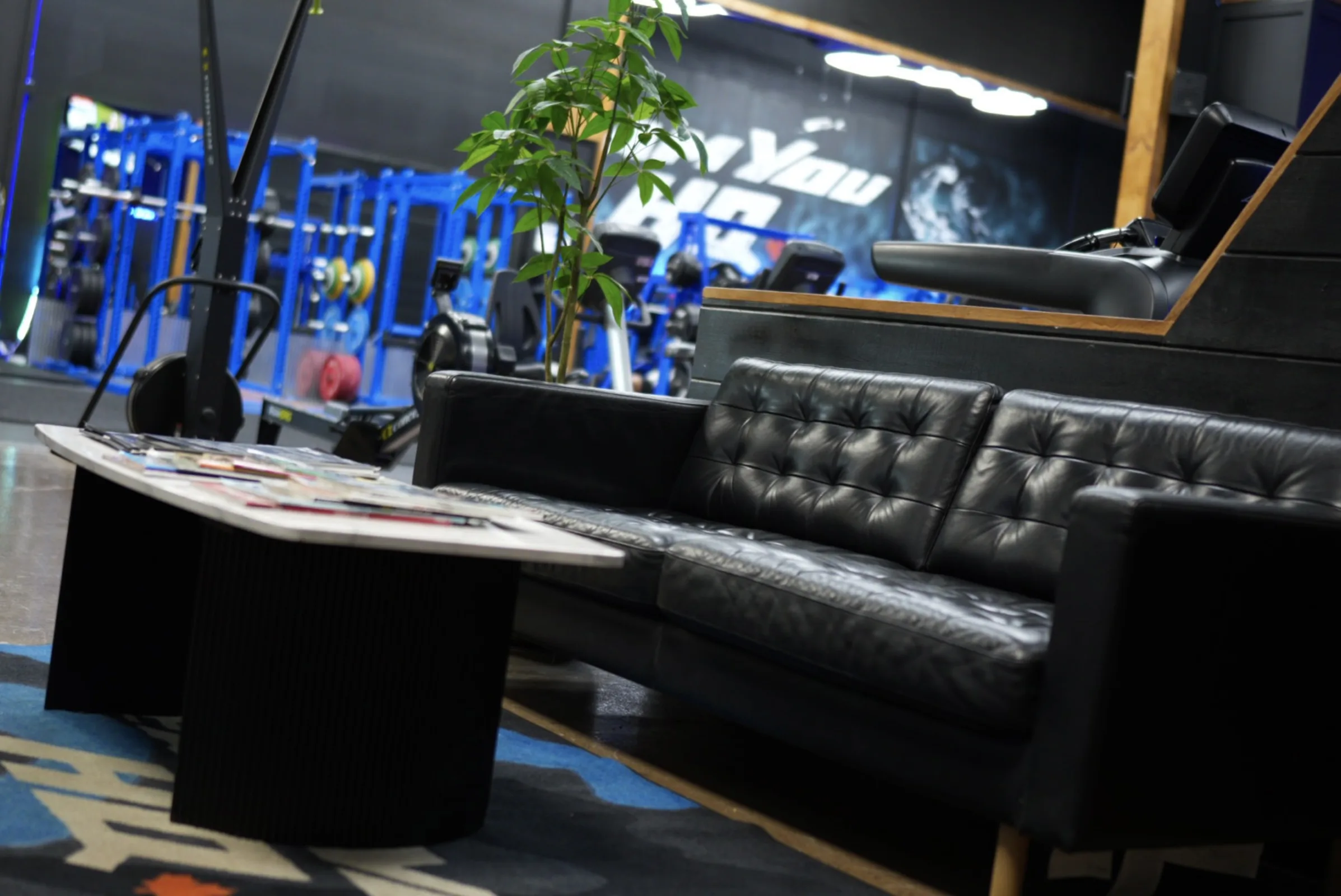 TeamYou HQ gym interior