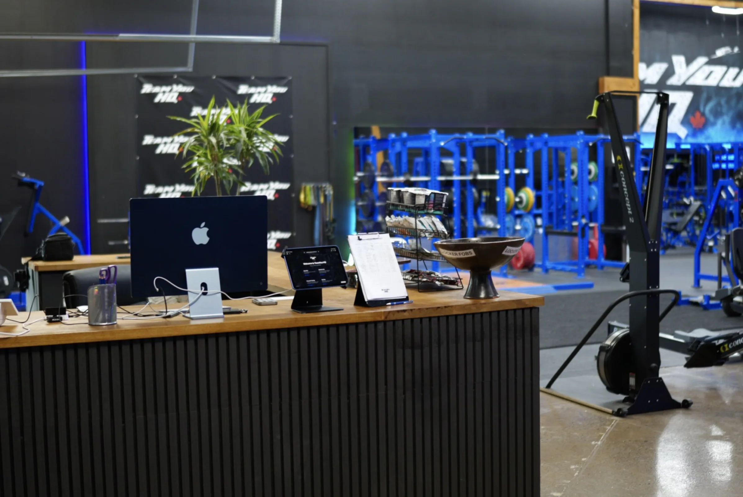 TeamYou HQ gym interior