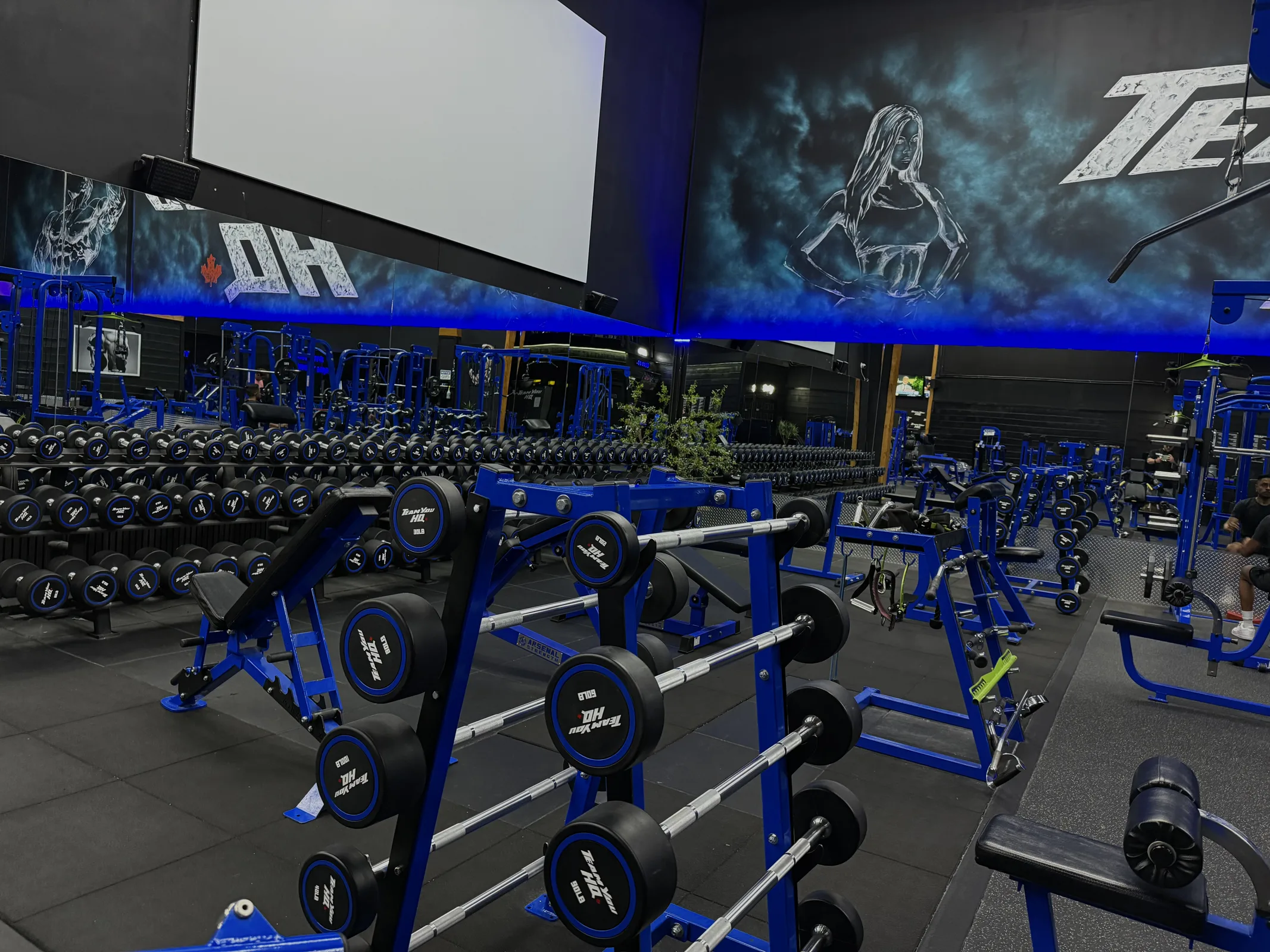 TeamYou HQ gym floor beneath signature hexagon LED ceiling